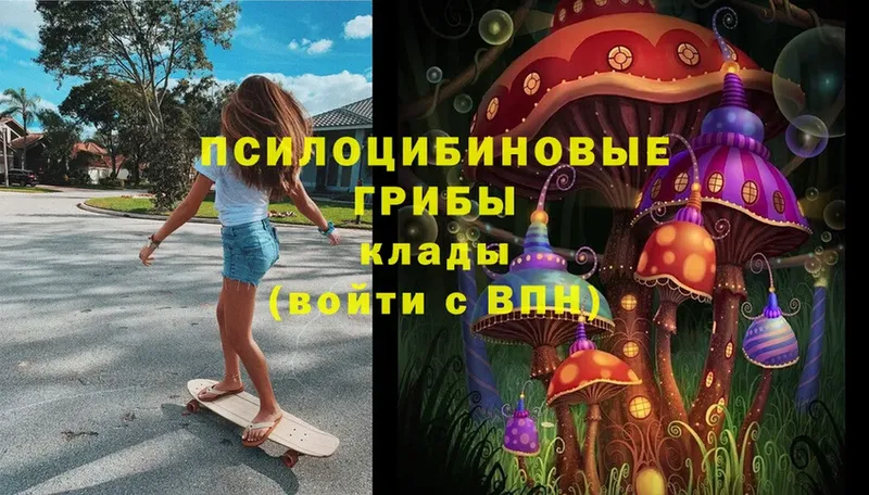 omg как войти  Любань  Псилоцибиновые грибы Cubensis  купить наркотики цена 